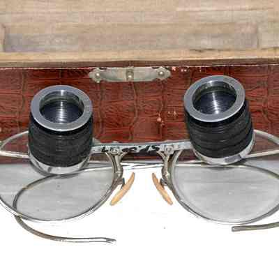 Eyeglasses w/Loupes