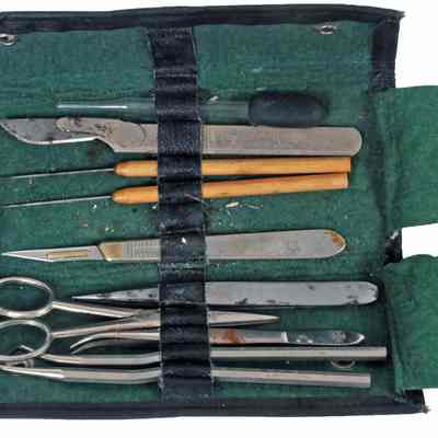 Taxidermy Kit
