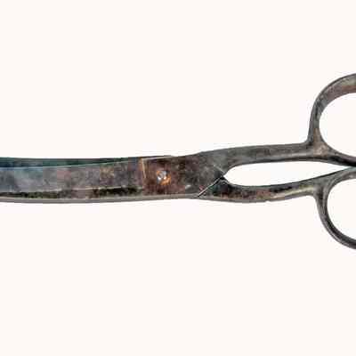 Fetlock Shears Scissors