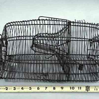 Rodent Trap