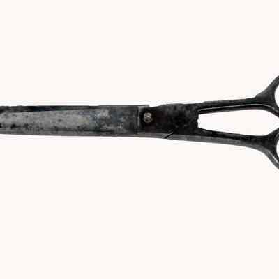Scissors