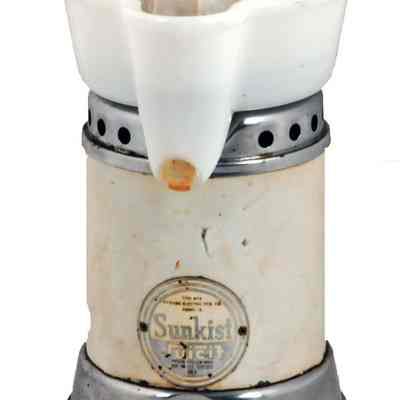 Electric Juicer