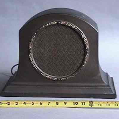 Radio Speaker