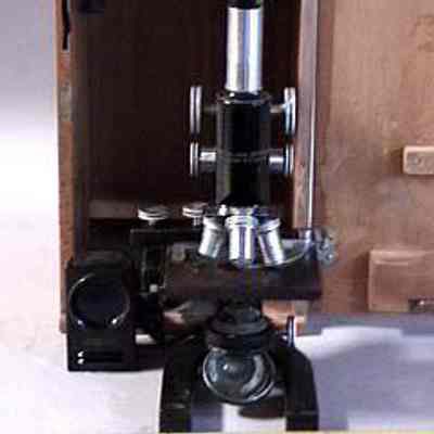 Microscope