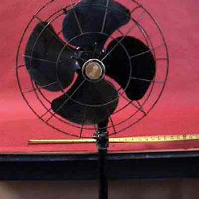 Floor Oscillating Electric Fan