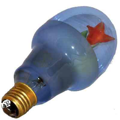 Light Bulb