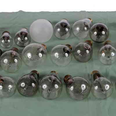 Light Bulb Collection