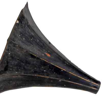Phonograph Horn