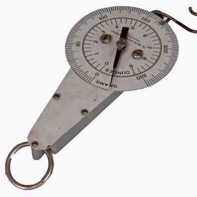 Extension Spring Scale