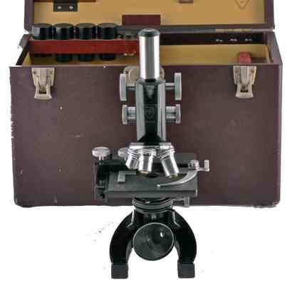 Microscope