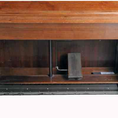 Electronic Organ