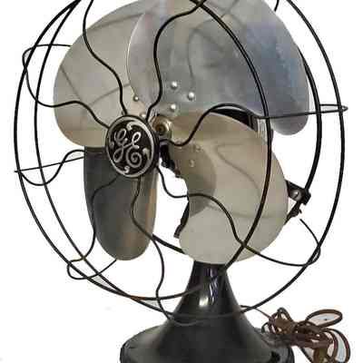 Fan