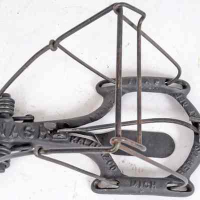 Mole Trap