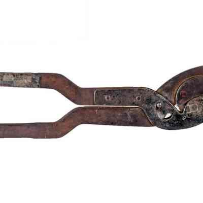 Cord Severer Emasculator
