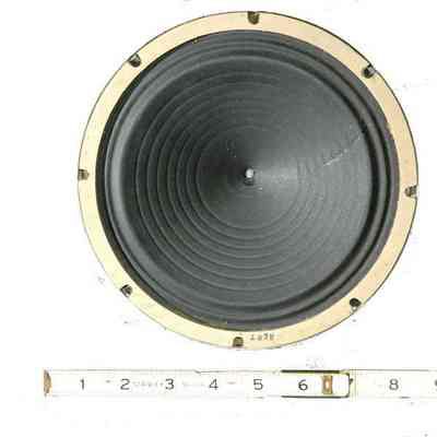 Speaker