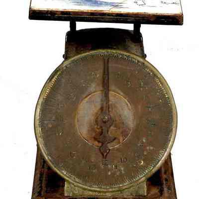 Spring Scale