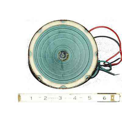Speaker