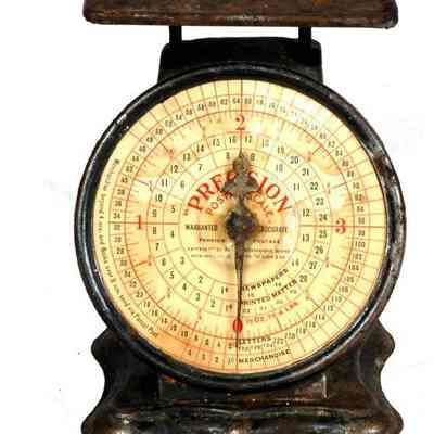 Spring Scale