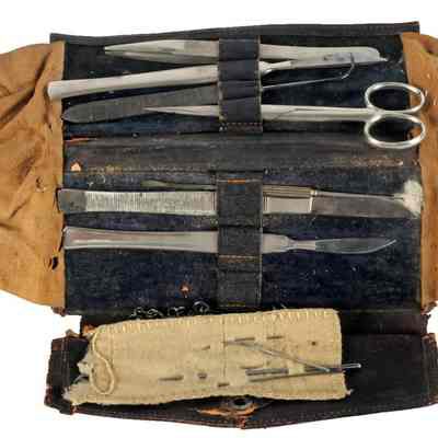 Taxidermy Kit