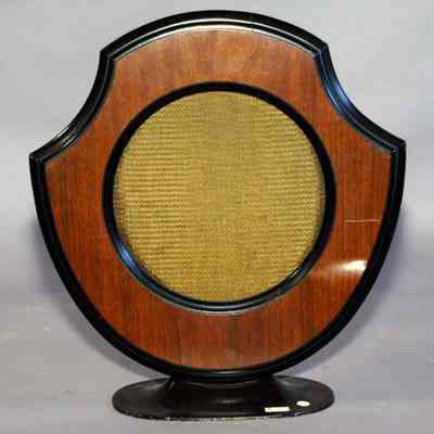 Radio Speaker