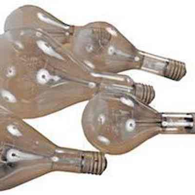 Mogul Base Light Bulb Collection
