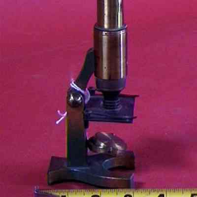 Toy Microscope