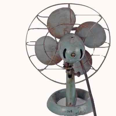 Fan