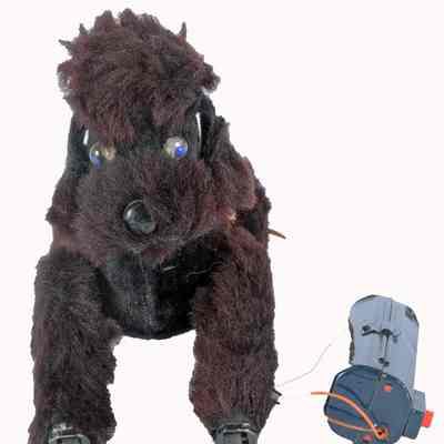 Toy Dog, Battery Operated