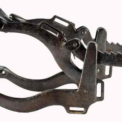 Equine Speculum
