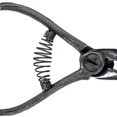 Orange Tree Clippers Shears