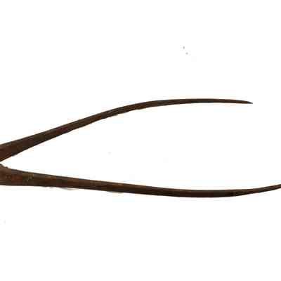 Calipers