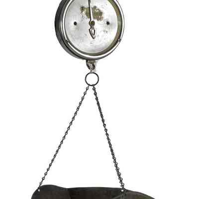 Spring Scale