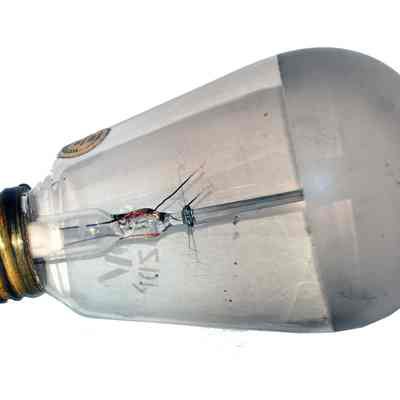Electric Light Bulb