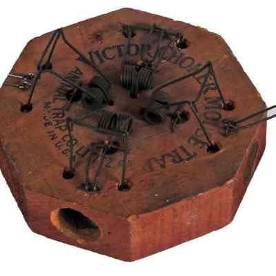 Mouse Trap