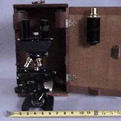 Microscope