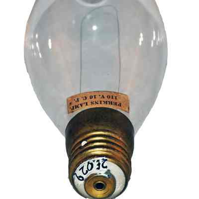 Electric Light Bulb