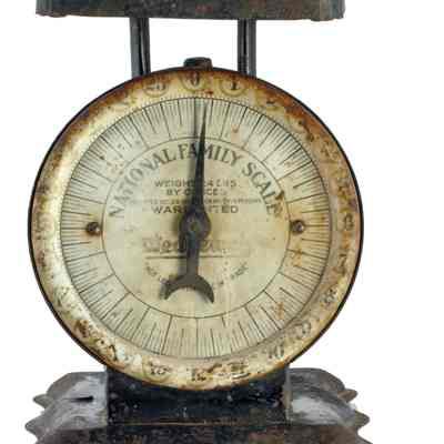 Kitchen Scale