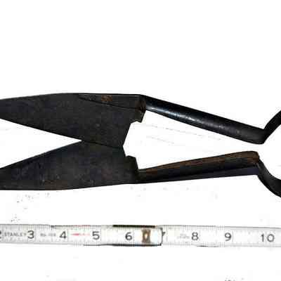 Grass Shears
