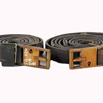 Straps (2) with locking buckle