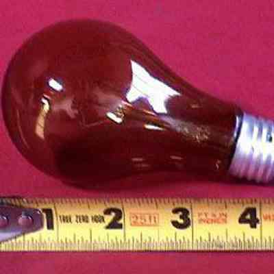 Electric Light Bulb