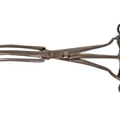 Surgical Medical Forceps