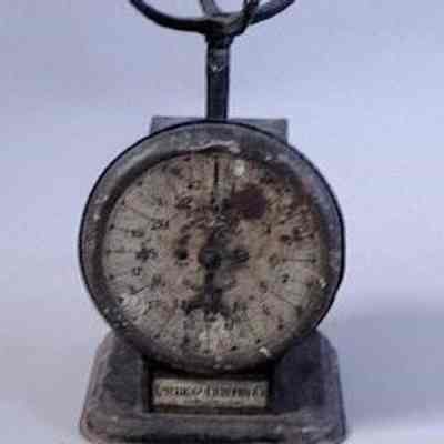 Spring Scale