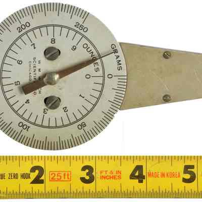 Spring Scale