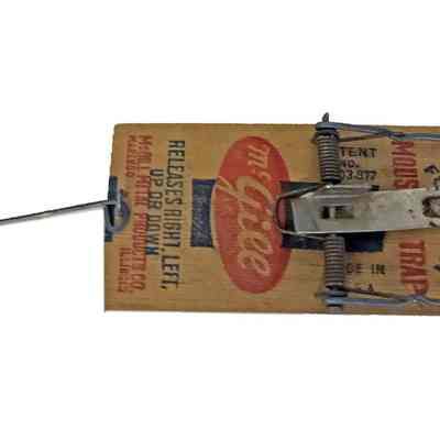 Mouse trap