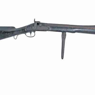 Blunderbuss Firearm