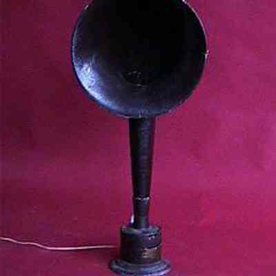 Radio Speaker