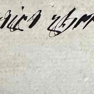 Contains a note in Armenian on the back: գովուգլըգ զէյթինլիչի (zeytinlici)?