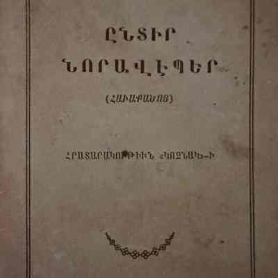 Endir Noraveber (1919)