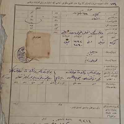 Travel Authorization Document #17