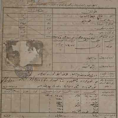 Travel Authorization Document #31